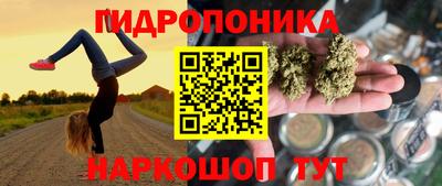 прущие крисы Берёзовский