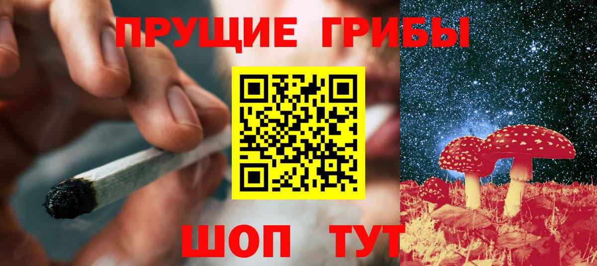 Гатчина  Псилоцибиновые грибы Psilocybe  Вход с VPN 